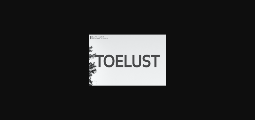 Toelust Font Poster 3