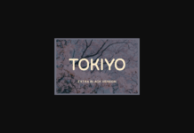 Tokiyo Extra Black Font Poster 1