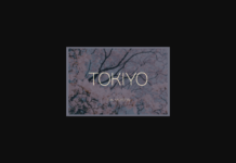 Tokiyo Thin Font Poster 1