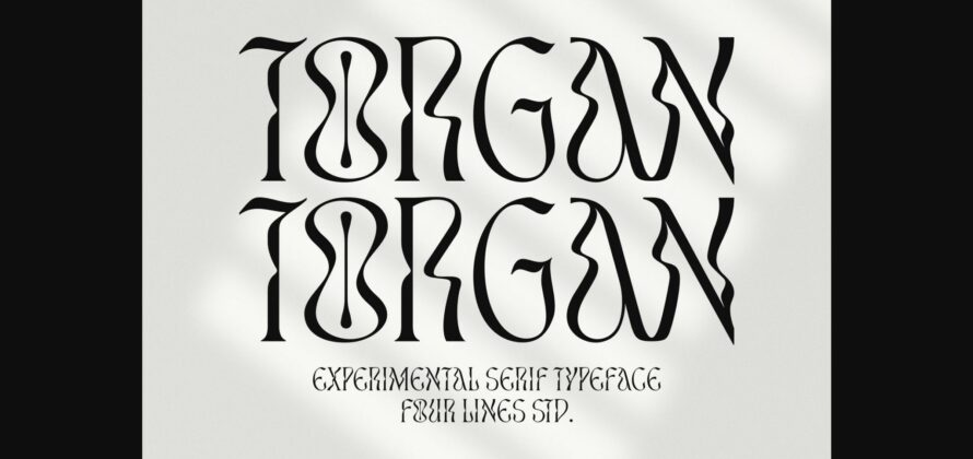Torgan Font Poster 3