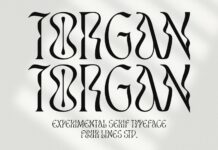 Torgan Font Poster 1