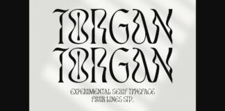 Torgan Font Poster 1