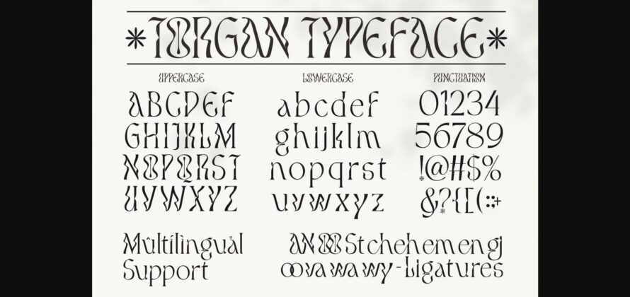 Torgan Font Poster 11