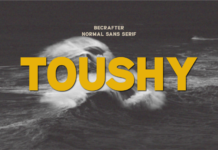 Toushy Font Poster 1