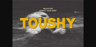 Toushy Font Poster 1