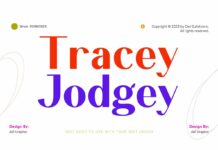 Tracey Jodgey Font Poster 1