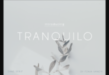 Tranquilo Font Poster 1