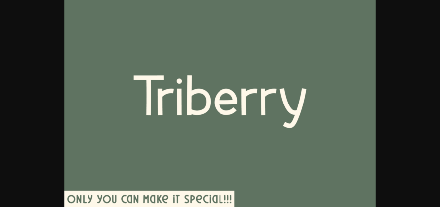 Triberry Font Poster 3