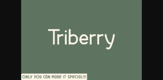 Triberry Font Poster 1