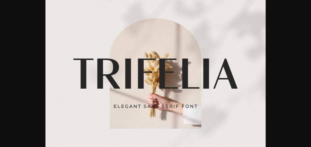 Trifelia Font Poster 3