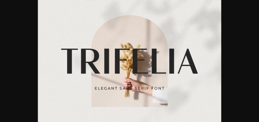 Trifelia Font Poster 3