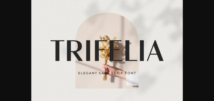 Trifelia Font Poster 1