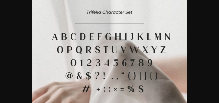 Trifelia Font Poster 8