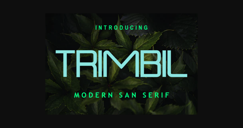 Trimbil Font Poster 1