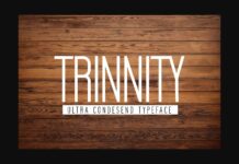 Trinnity Font Poster 1