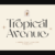 Tropical Avenue Font