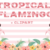 Tropical Flamingo Font