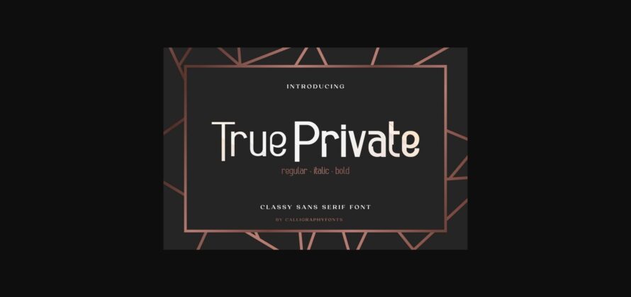 True Private Font Poster 3