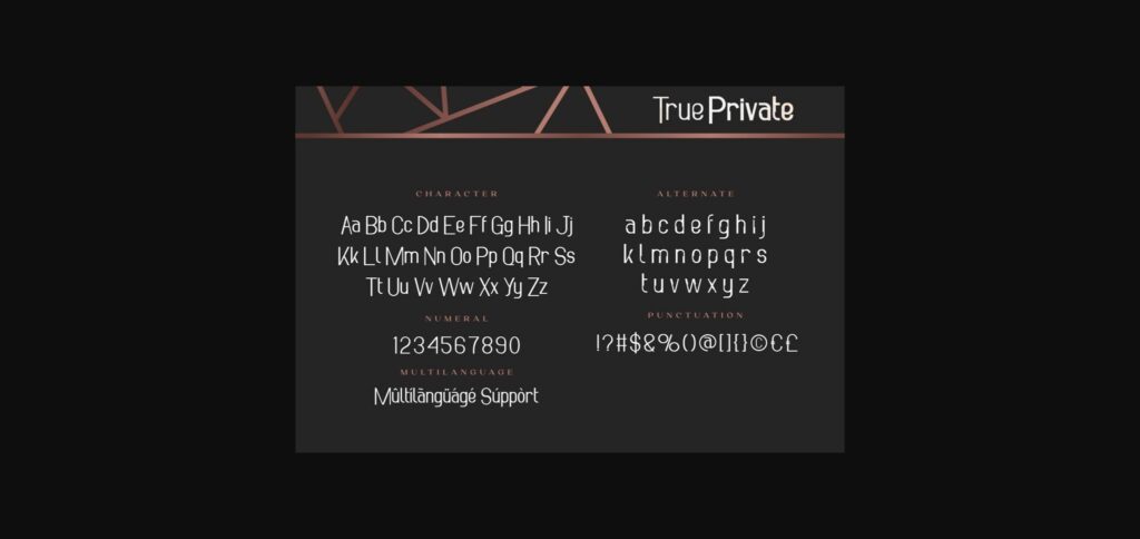 True Private Font Poster 6