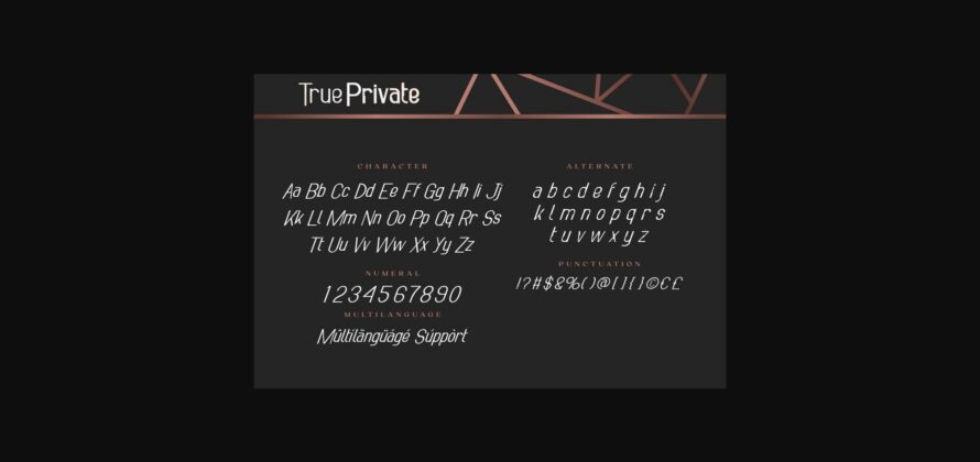 True Private Font Poster 8