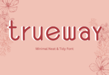 Trueway Font Poster 1