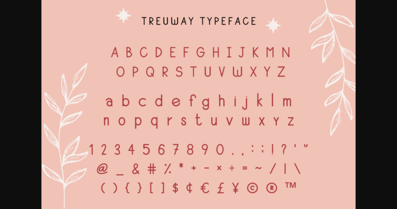 Trueway Font Poster 5