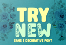 Try New Font Poster 1