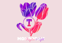 Tulip Font Tulip Font Poster 1