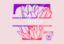 Tulip Split Font Poster 1