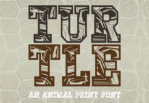 Turtle Font Turtle Font Poster 1