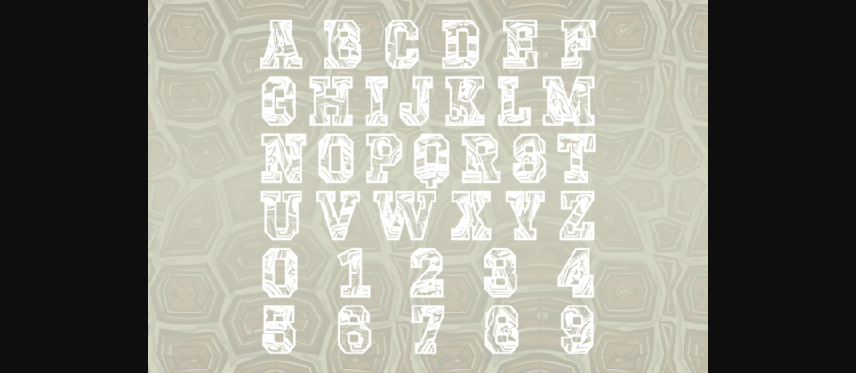 Turtle Font Poster 5