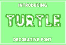 Turtle Font Poster 1