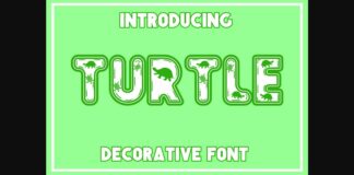 Turtle Font Poster 1