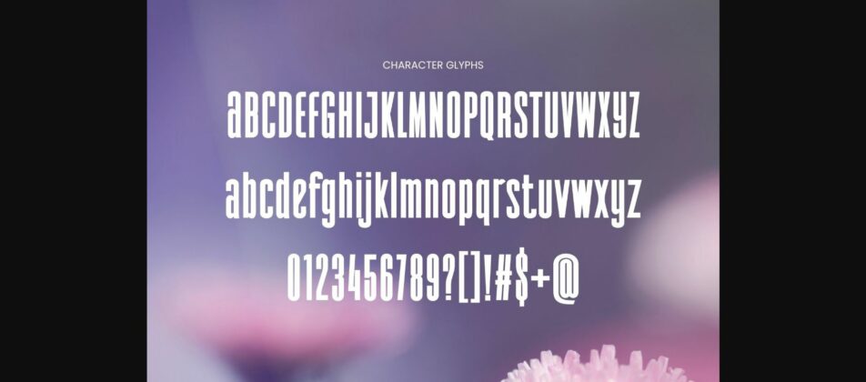 Types Font Poster 10