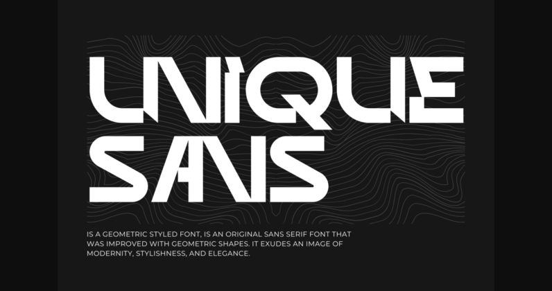 Unique Sans Font Poster 3