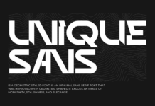 Unique Sans Font Poster 1