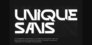 Unique Sans Font Poster 1