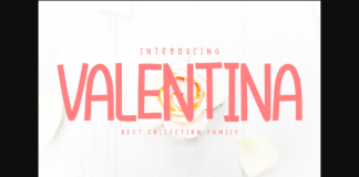 Valentina Font Poster 1