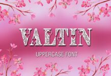 Valtin Font Poster 1