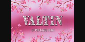 Valtin Font Poster 1