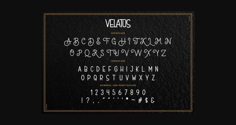 Velatus Font Poster 6