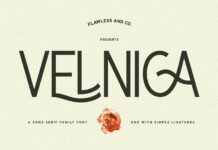 Velnica Font Poster 1