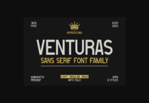 Venturas Font Poster 1