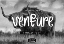 Venture Font Poster 1