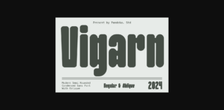 Vigarn Font Poster 1