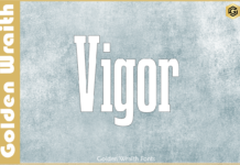 Vigor Font Poster 1