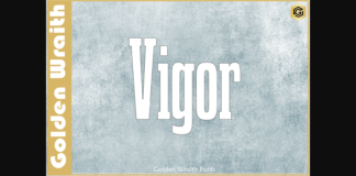 Vigor Font Poster 1