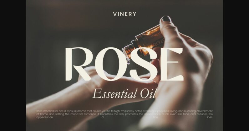 Vinery Font Poster 2