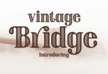 Vintage Bridge Poster 1