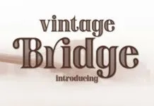 Vintage Bridge Vintage Bridge Fonts
